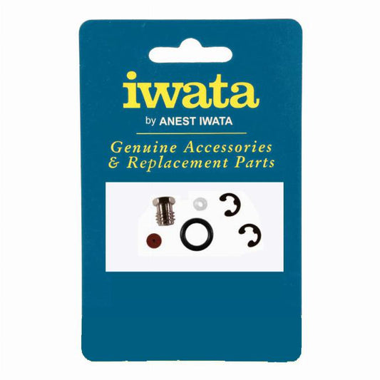 Iwata 2860 Repair Service Kit for RG3L and LPH50 Spray Guns